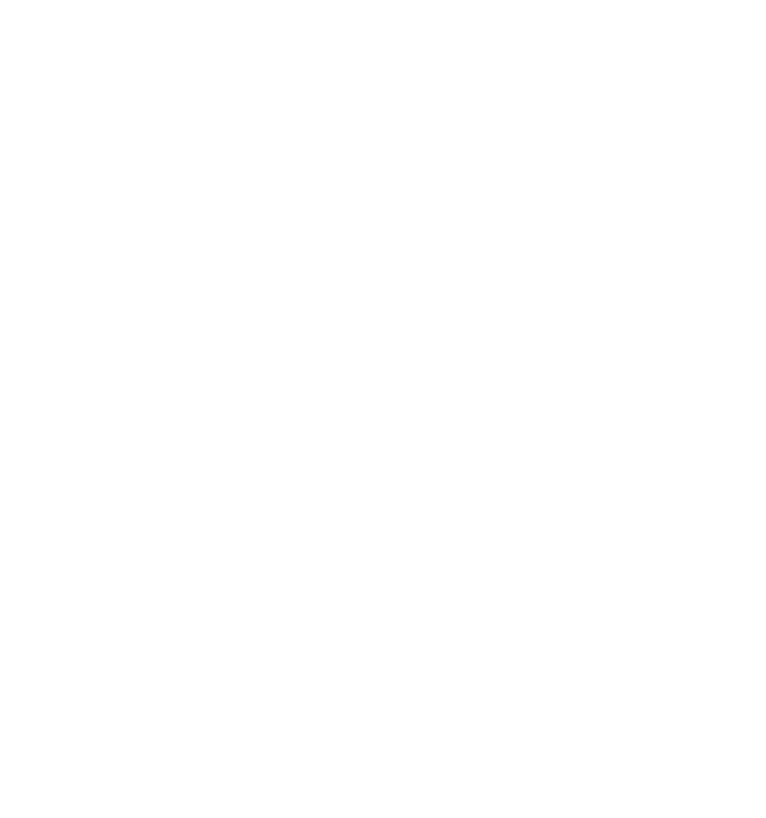 travelers choice